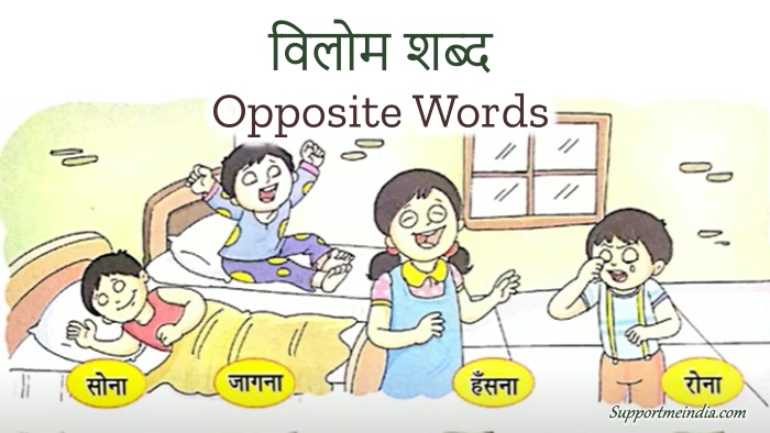  250 Opposite Words In Hindi And English